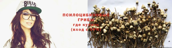 mdpv Алзамай