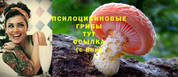 mdpv Алзамай