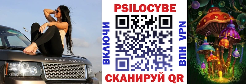 купить наркотик  Жигулёвск  Псилоцибиновые грибы Psilocybe 
